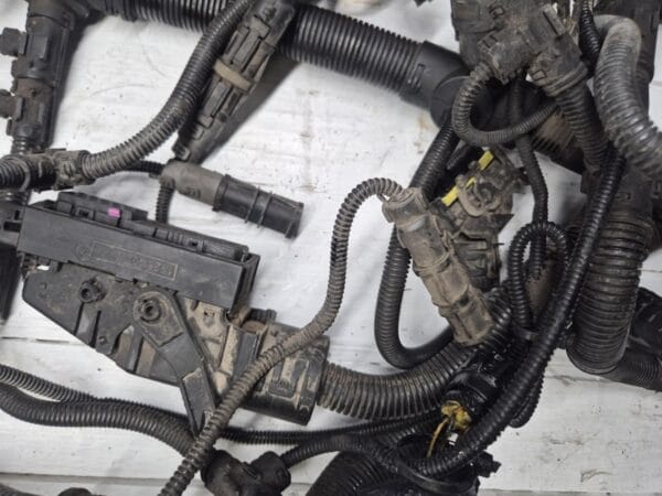 engine cable harness d2066lf41 astronic 81254246434 81254240032 04 |
