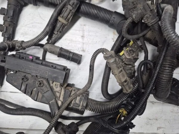 engine cable harness d2066lf41 astronic 81254246434 81254240032 04