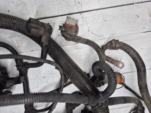 engine cable harness d2066lf41 astronic 81254246434 81254240032 06 |
