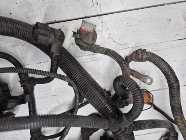 engine cable harness d2066lf41 astronic 81254246434 81254240032 06