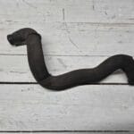 COOLING SYSTEM  HOSE