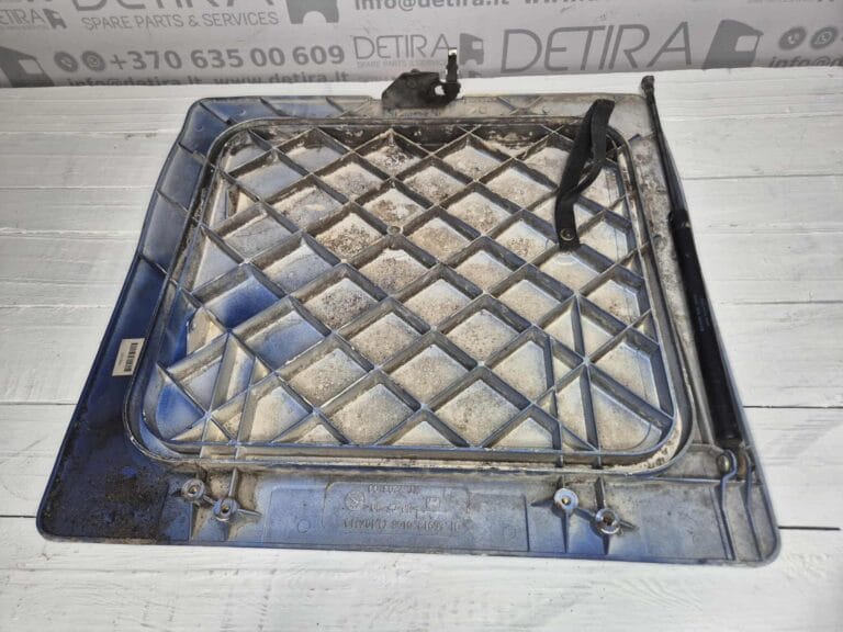 CAB SIDE DOOR 81669120195
