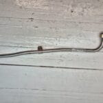 air line tgx. 81154055022